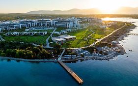 Anda Barut Collection